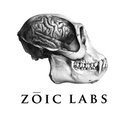 ZOIC Remote Game Jobs
